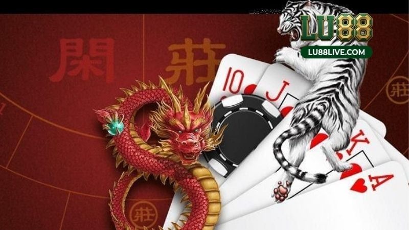 Rồng Hổ Live