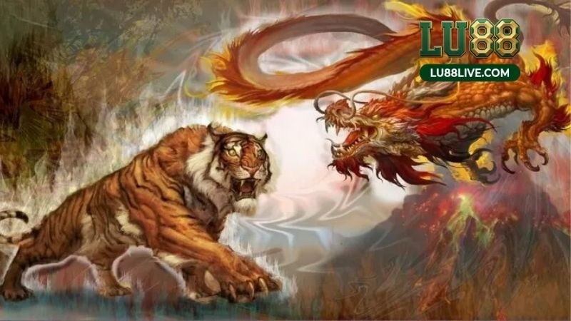 Rồng Hổ Live